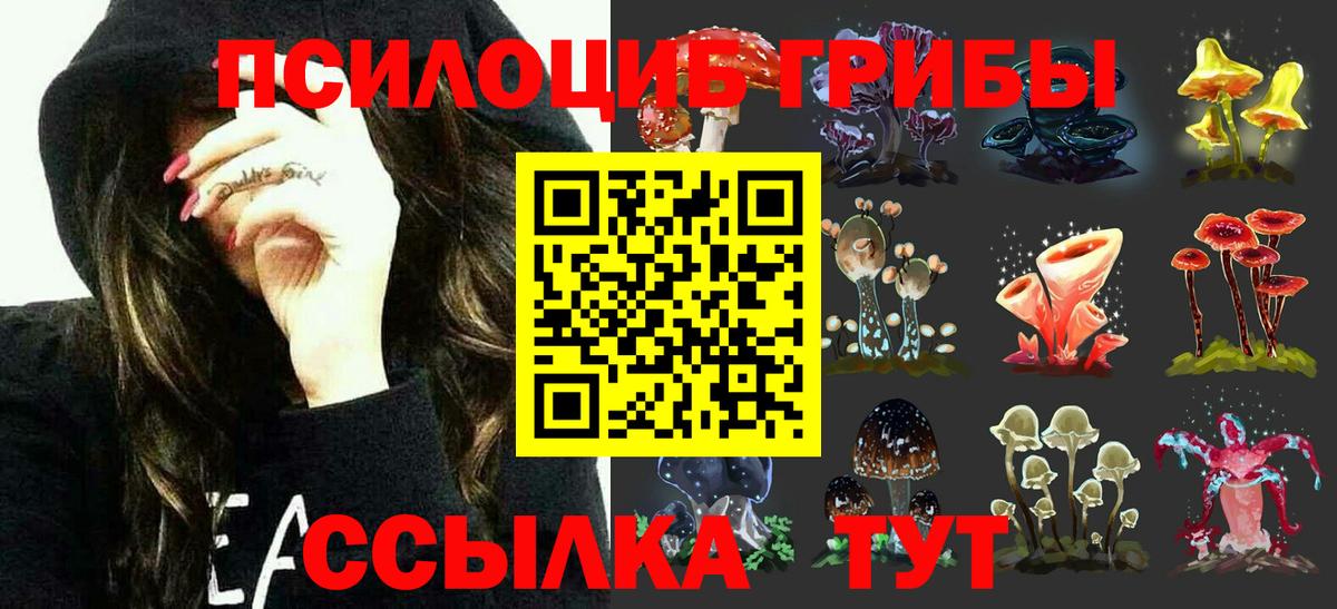 Сергиев Посад  Галлюциногенные грибы MAGIC MUSHROOMS  Вход с VPN  Галлюциногенные грибы прущие грибы 